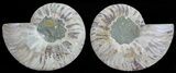 Polished Ammonite Pair - Agatized #68830-1